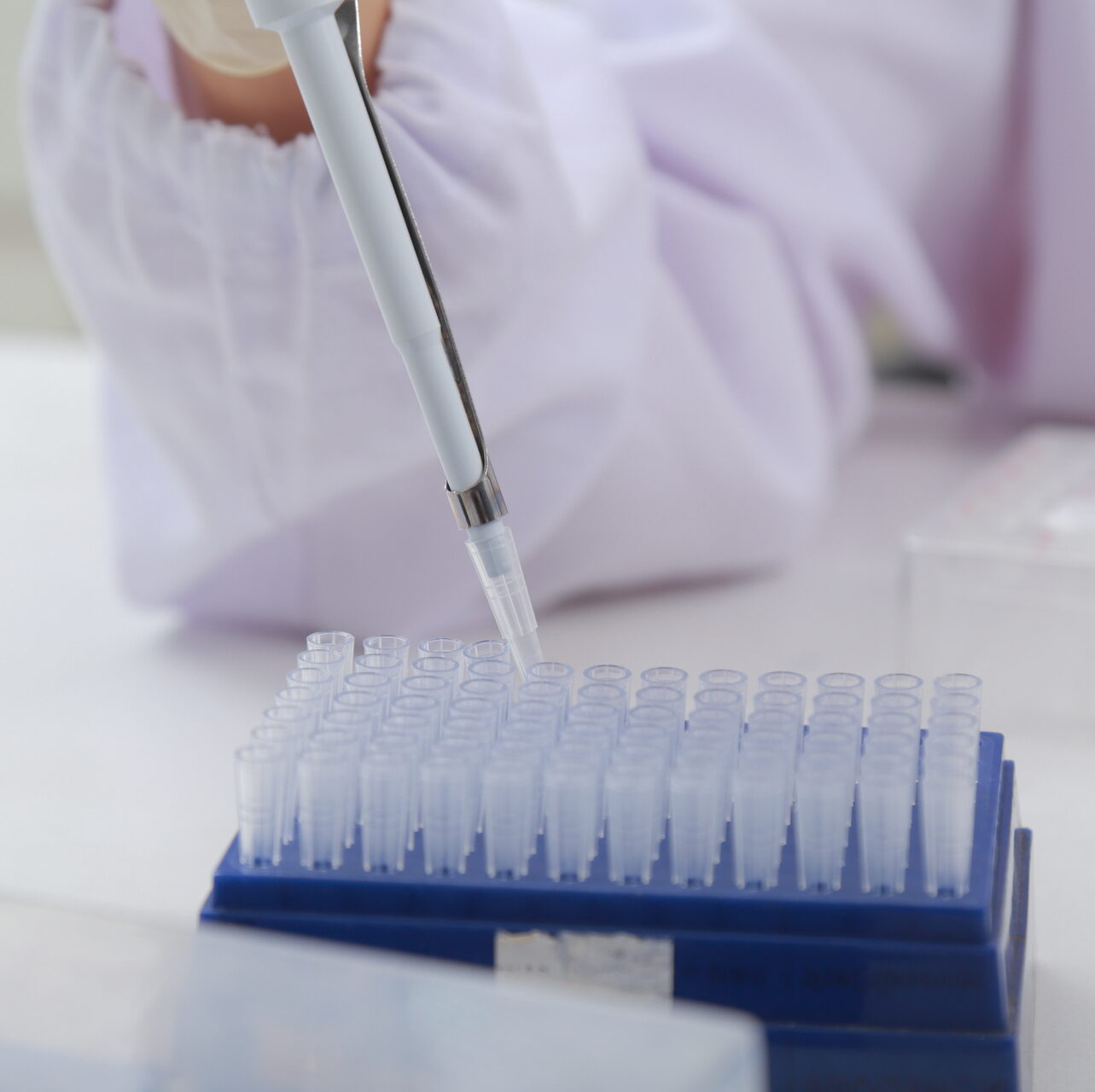 Bone marrow stem cell therapy lab work