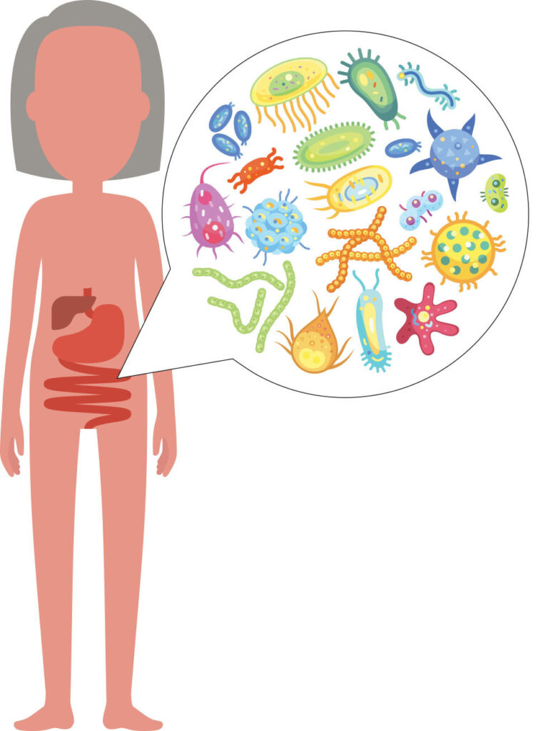 We Hear a Lot About the Gut Microbiome. What Exactly Is It?