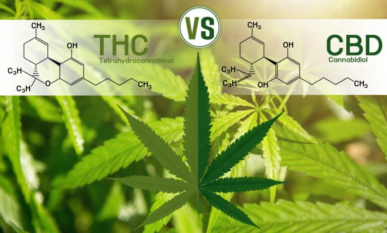 Is There THC in CBD?