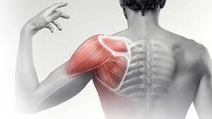 Experiencing Shoulder Pain? Consider PRP Therapy