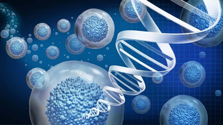 Why 100 Percent Image Guidance Is a Clinical Standard, Not a Premium Option, in Regenerative Medicine